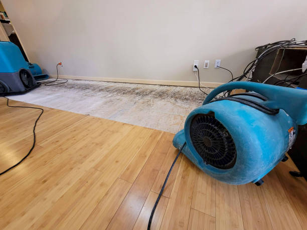 Professional Emergency Water Damage technician working in Gilroy, CA